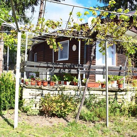 Holiday Home Vilata Kŭrdzhali المظهر الخارجي الصورة