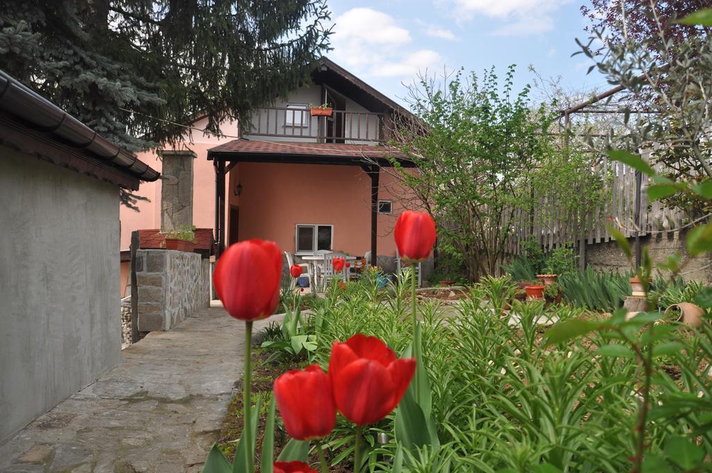 Holiday Home Vilata Kŭrdzhali المظهر الخارجي الصورة